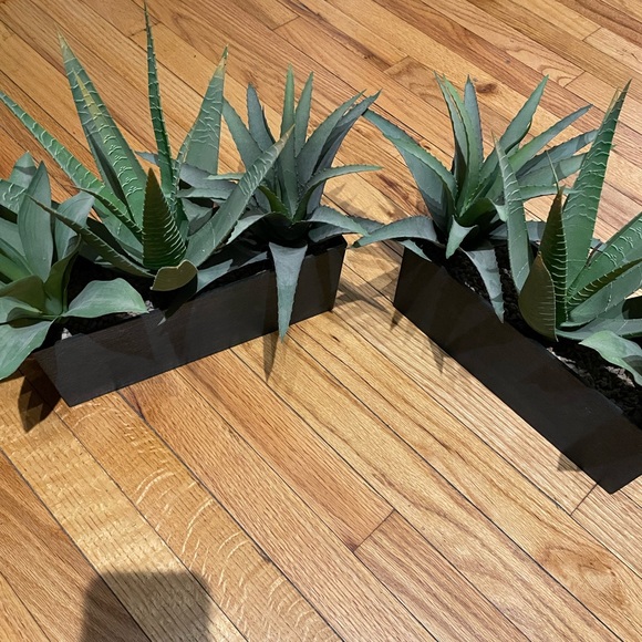 Bundle Lot Set 2 pc Artificial Framed Succulent Plant Rectangular Frame ALOE POT - Picture 3 of 5